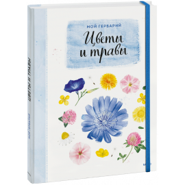 Книга «Мой гербарий. Цветы и травы»