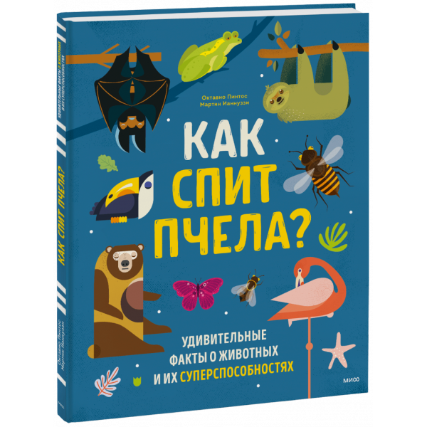 Книга «Как спит пчела?»