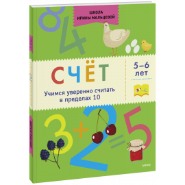 Книга «Счёт»