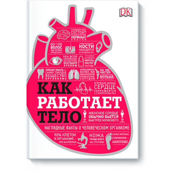 Как работает тело