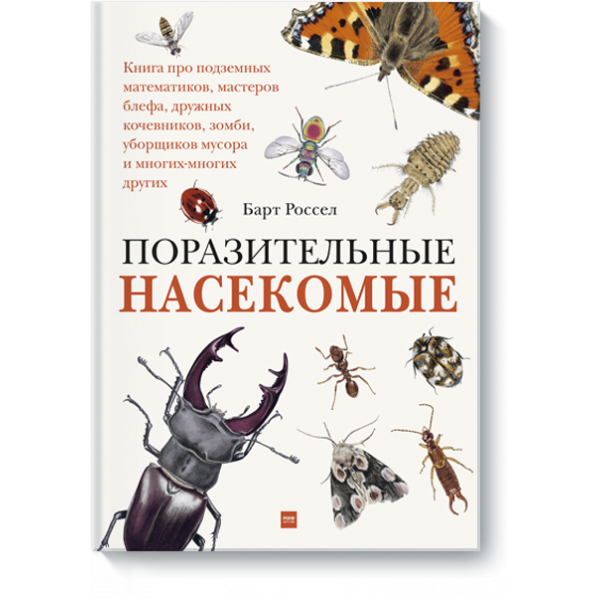 Поразительные насекомые