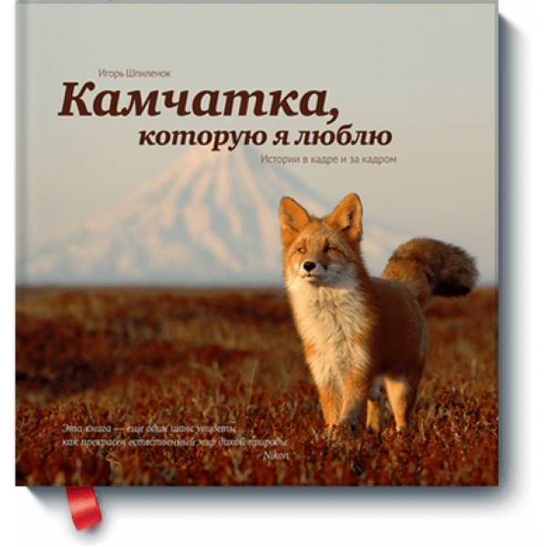 Камчатка, которую я люблю